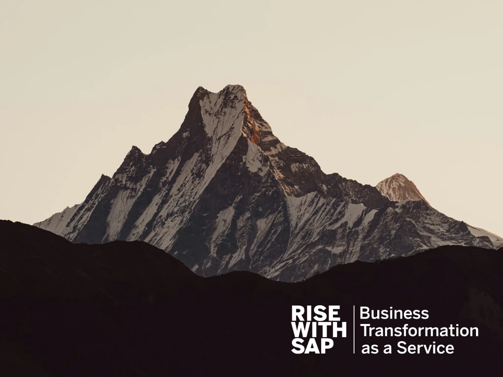 rise-with-sap-min