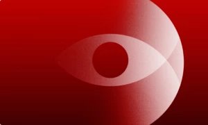 redpeaks_blog_observability